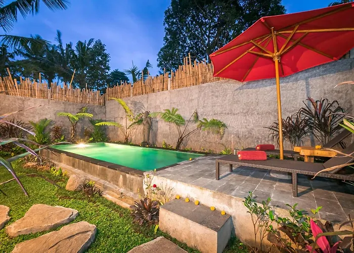 The Forest Batu Kurung * Ubud