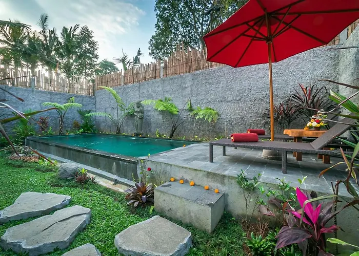 The Forest Batu Kurung Ubud